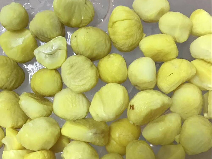 湖北板栗